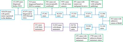 Frontiers | Brain metastasis from gastric adenocarcinoma: A large 